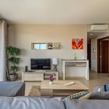Oasis Rocha By Gestaz *